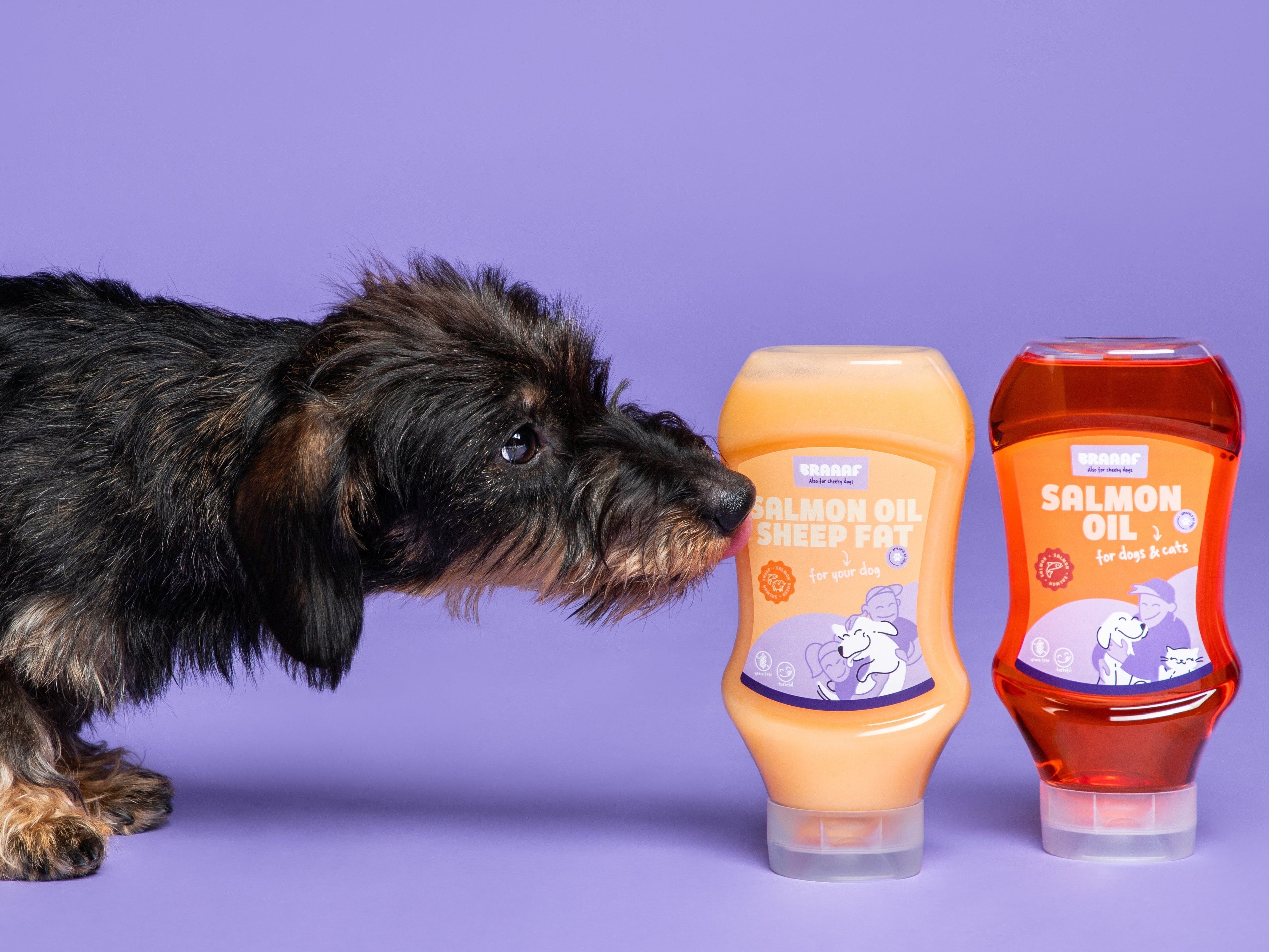 Hooikoorts bij honden: ja, jouw hond kan er echt last van hebben