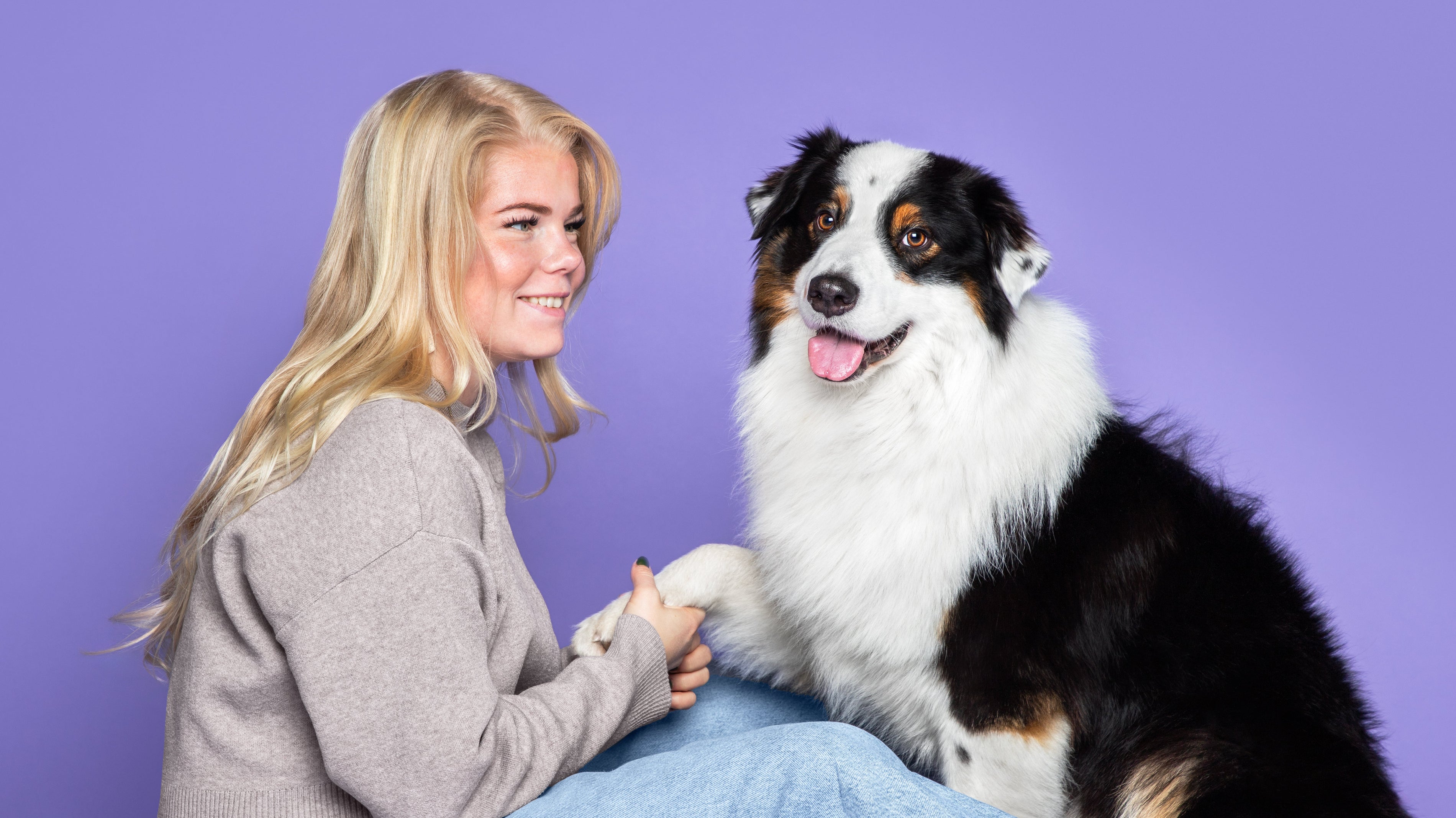 High value trainingssnoepjes hond