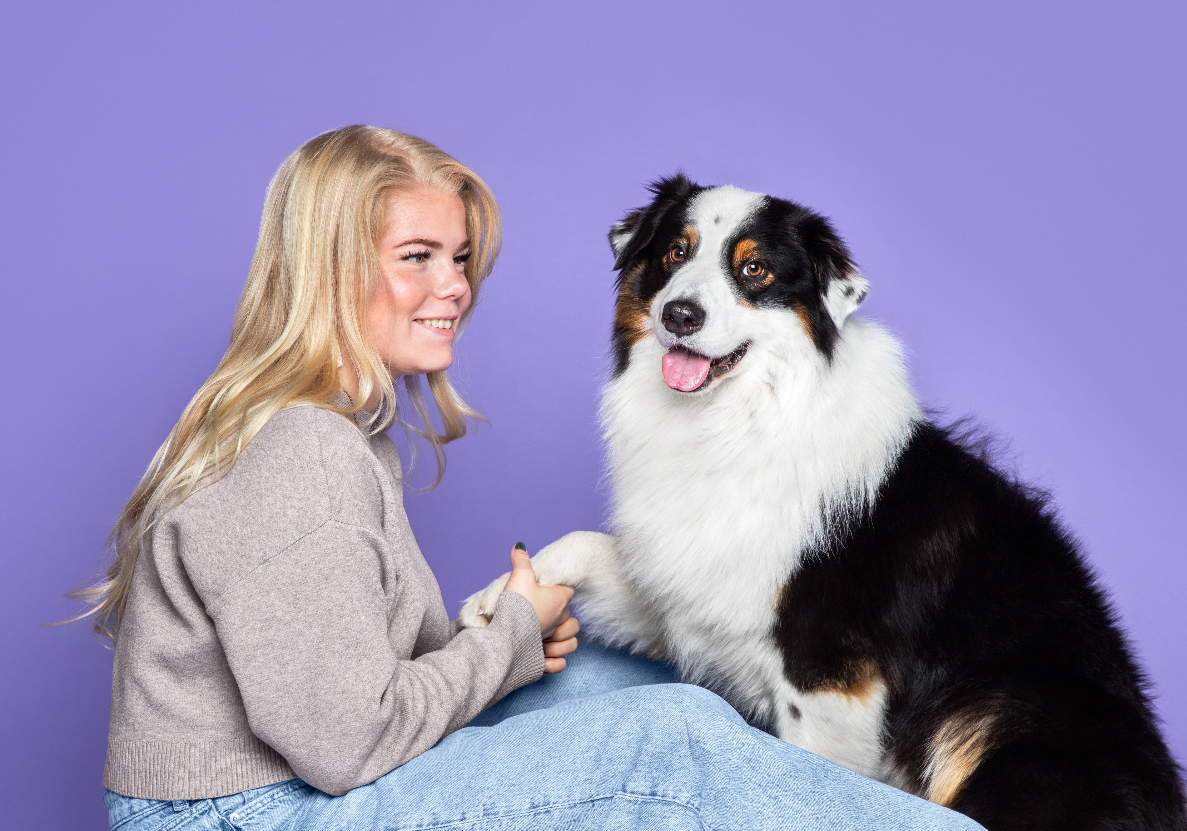 High value trainingssnoepjes hond
