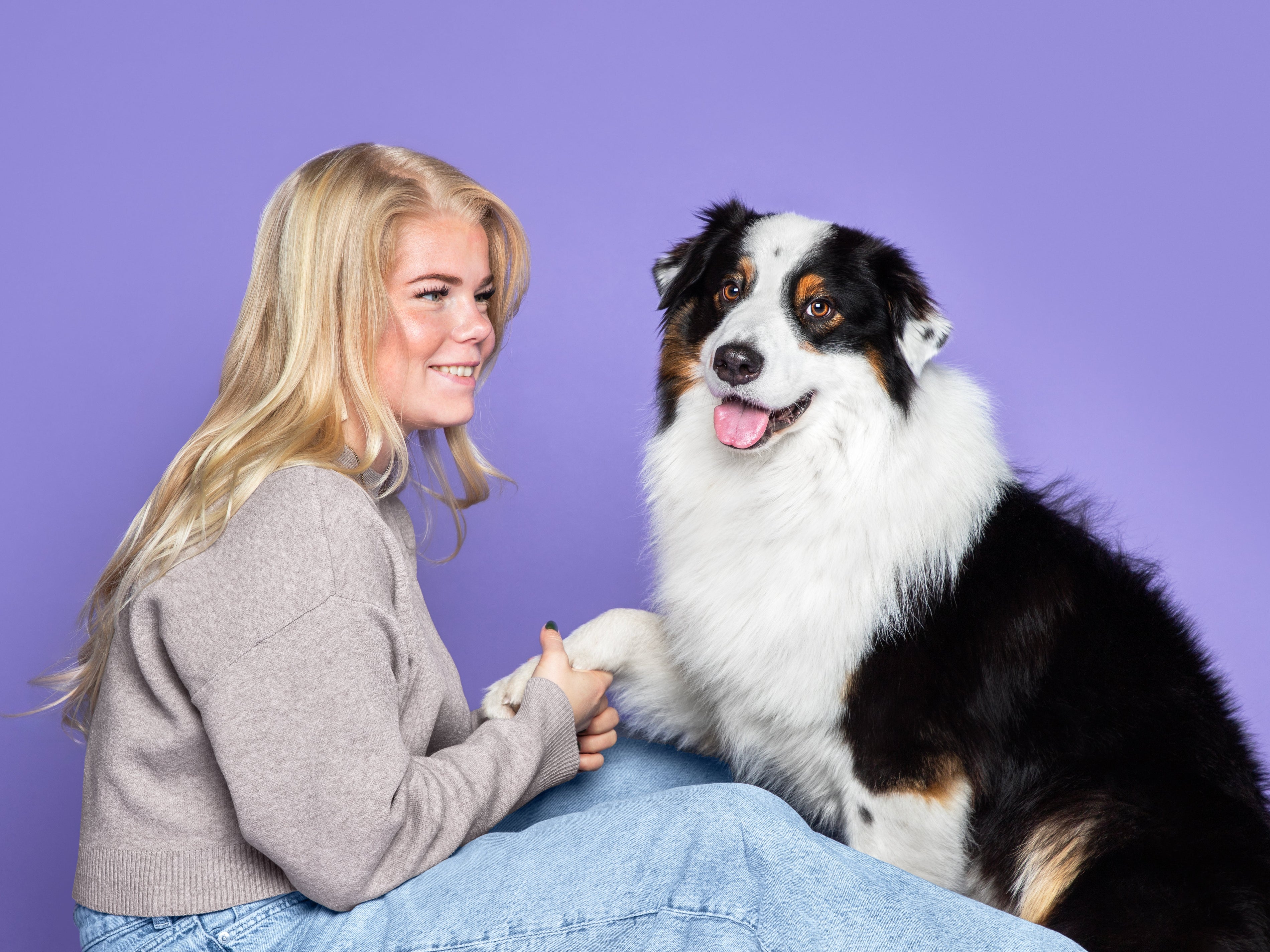 High value trainingssnoepjes hond
