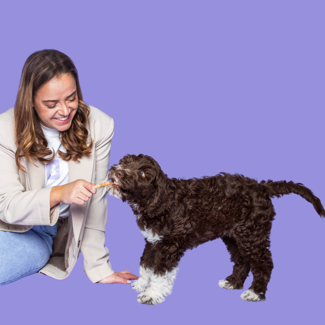 Waarom kauwen belangrijk is voor honden en puppy’s