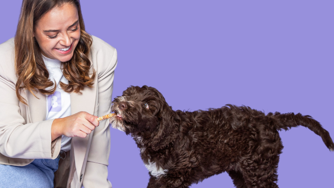 Waarom kauwen belangrijk is voor honden en puppy’s