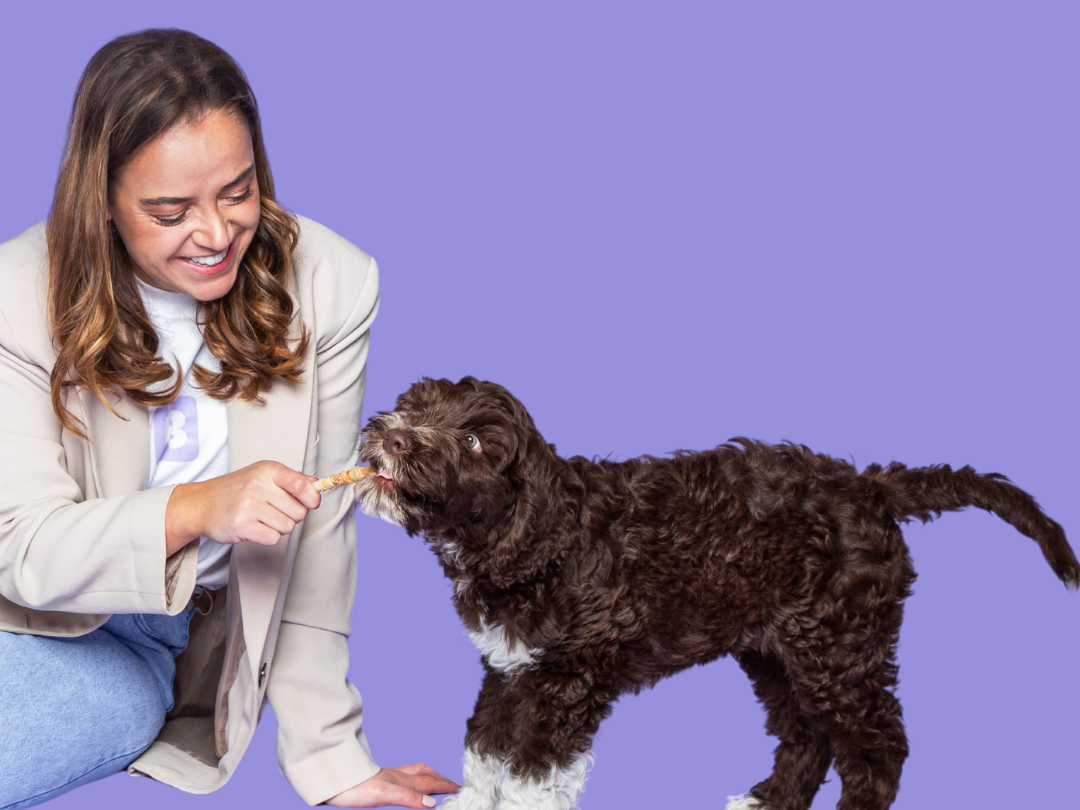 Waarom kauwen belangrijk is voor honden en puppy’s