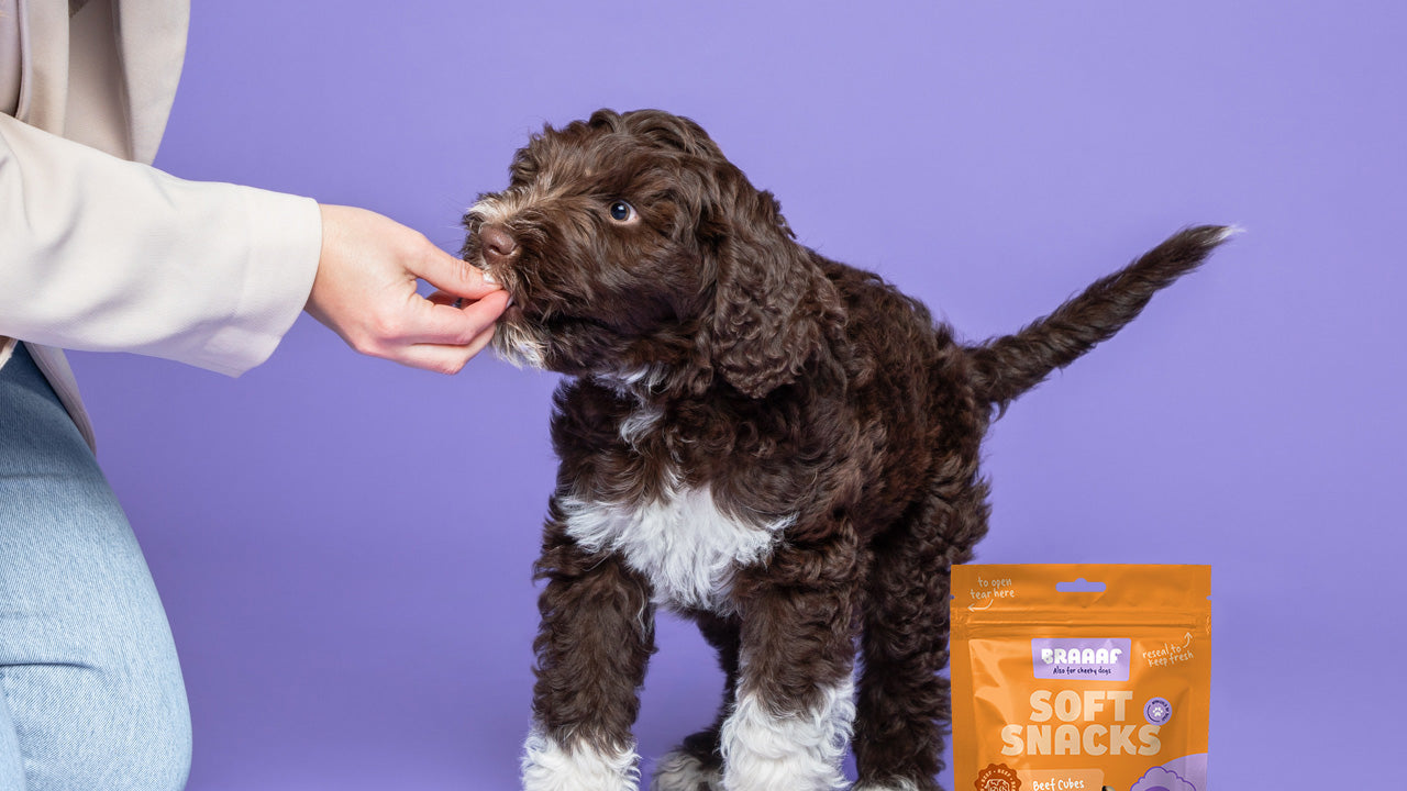Puppy trainingssnoepjes leeftijd