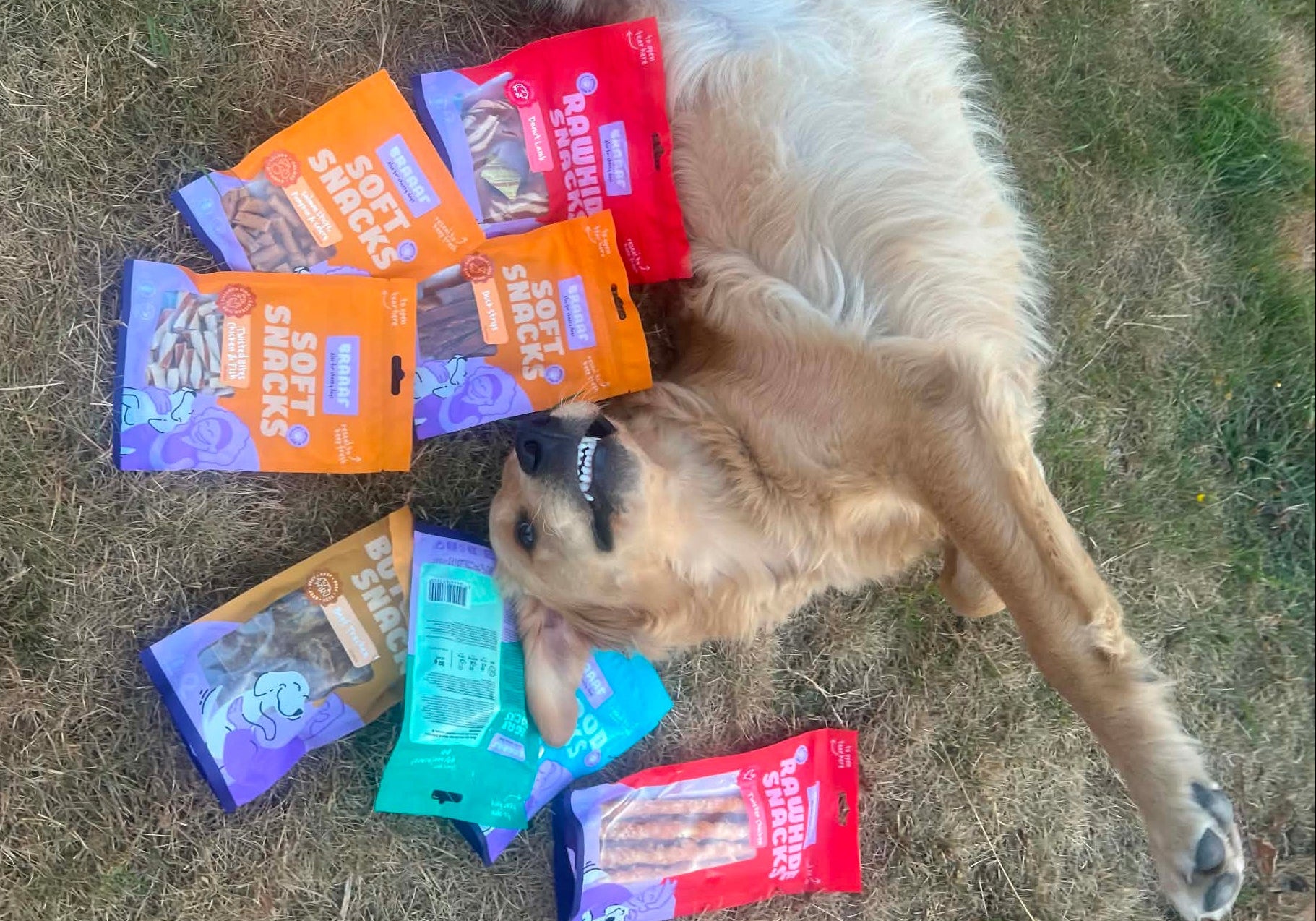 Hond luistert niet