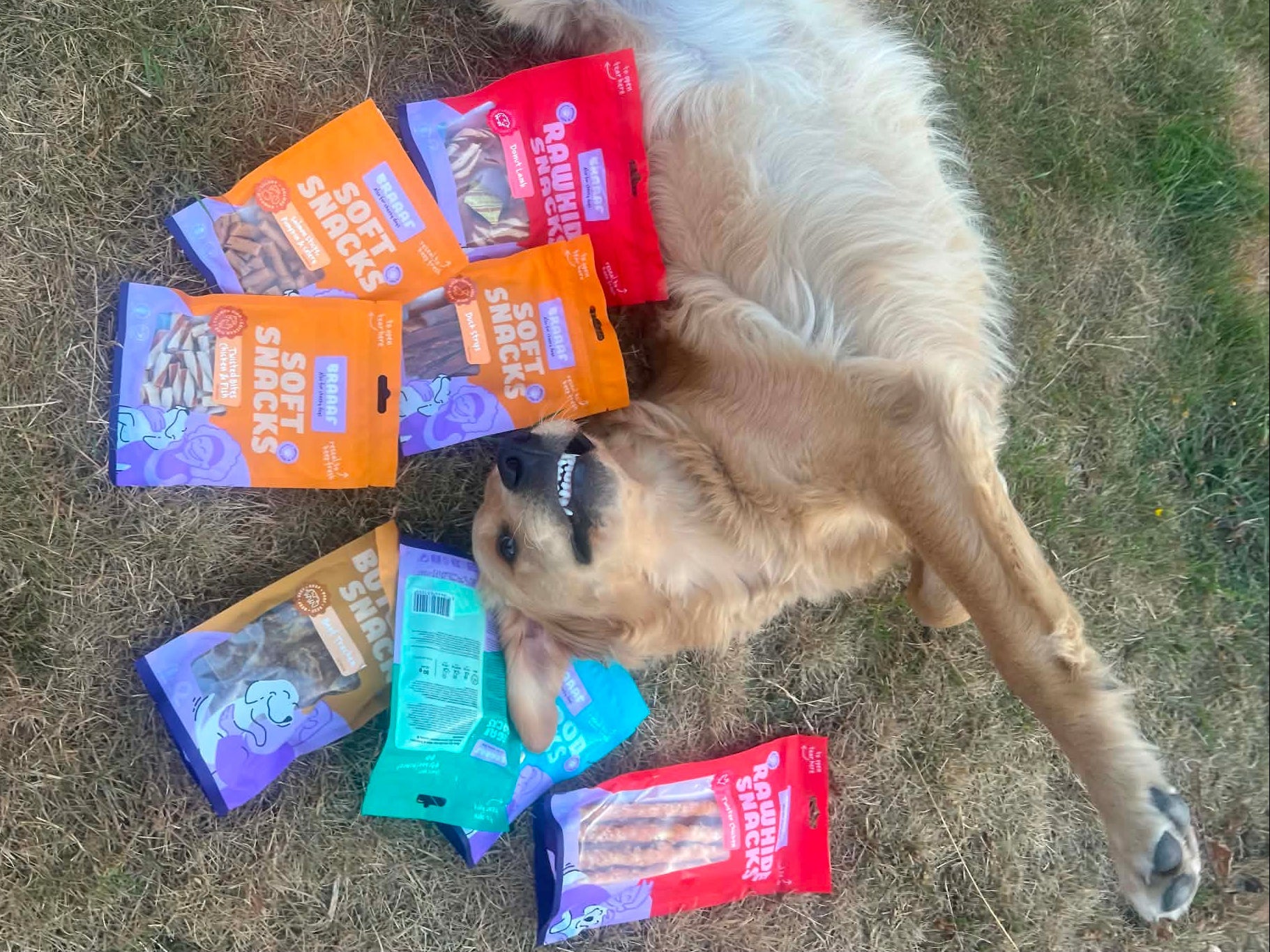 Hond luistert niet