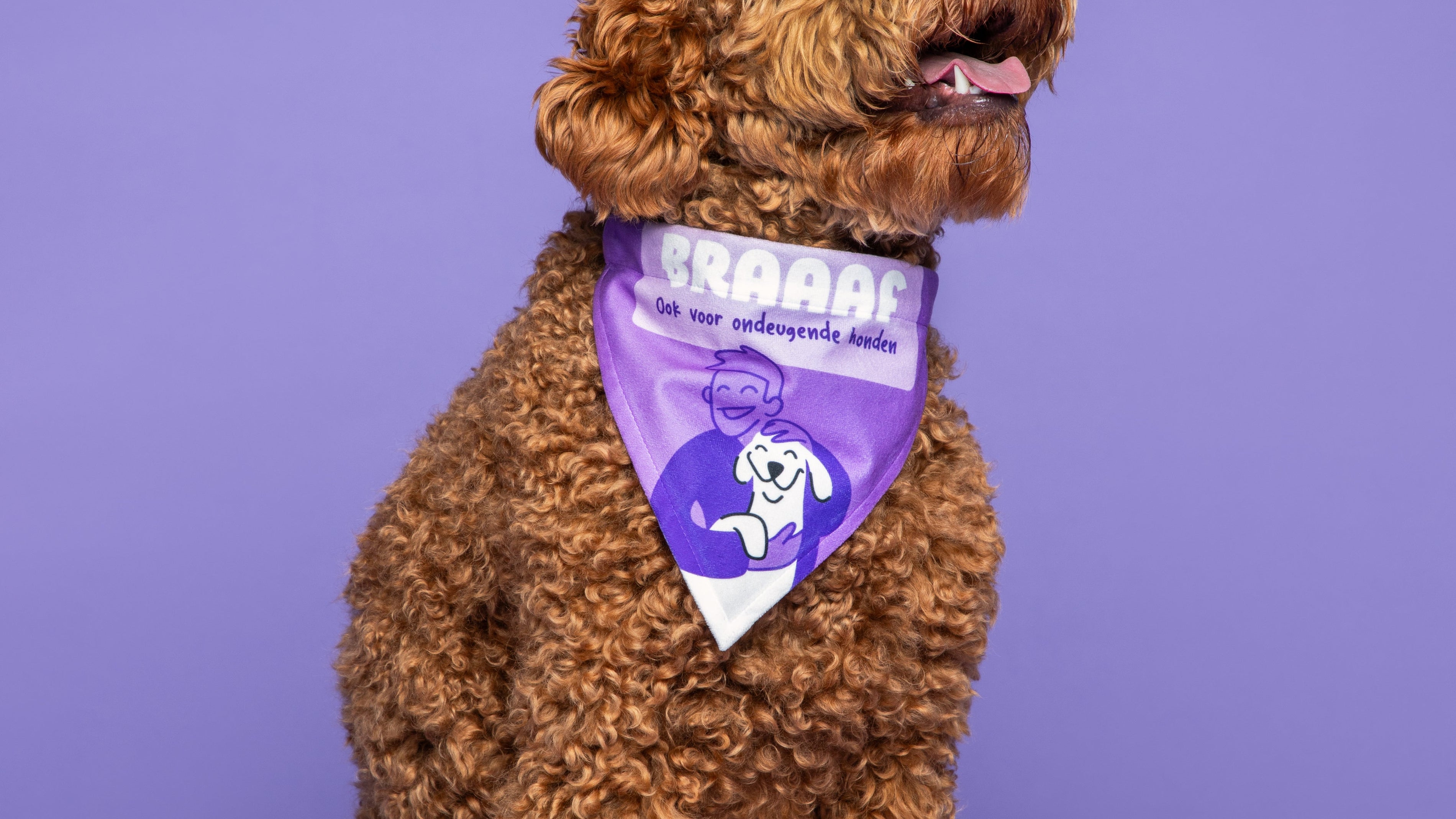 Hoeveel trainingssnoepjes per dag hond