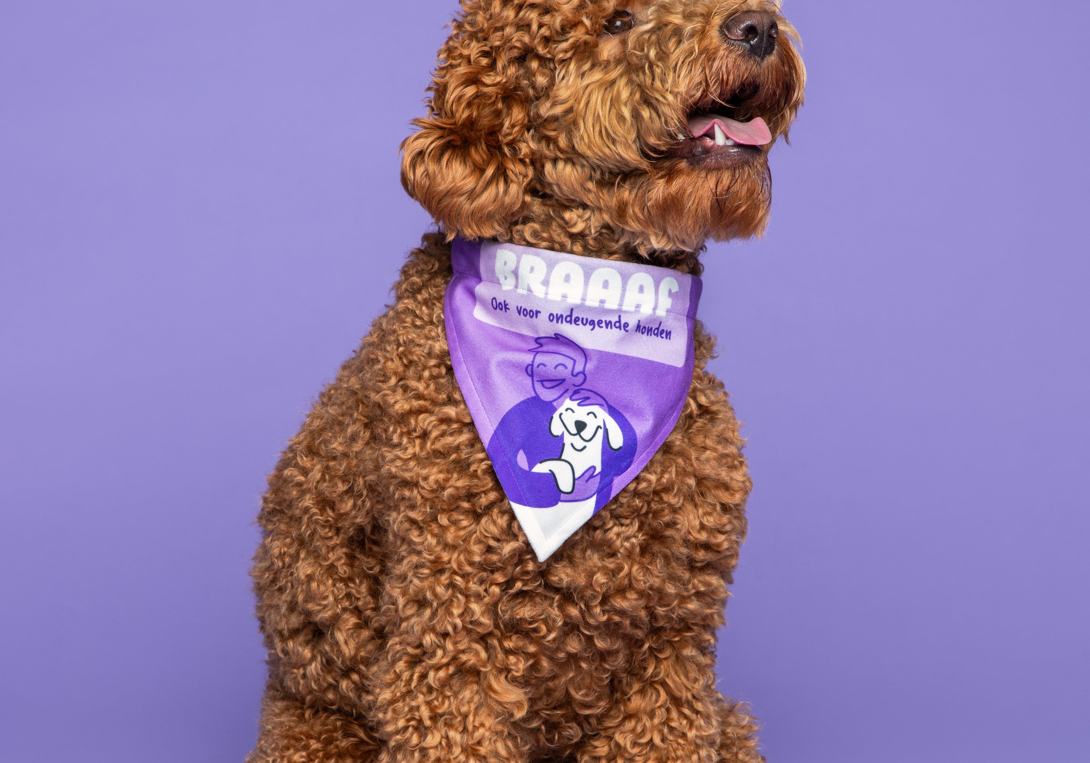 Hoeveel trainingssnoepjes per dag hond