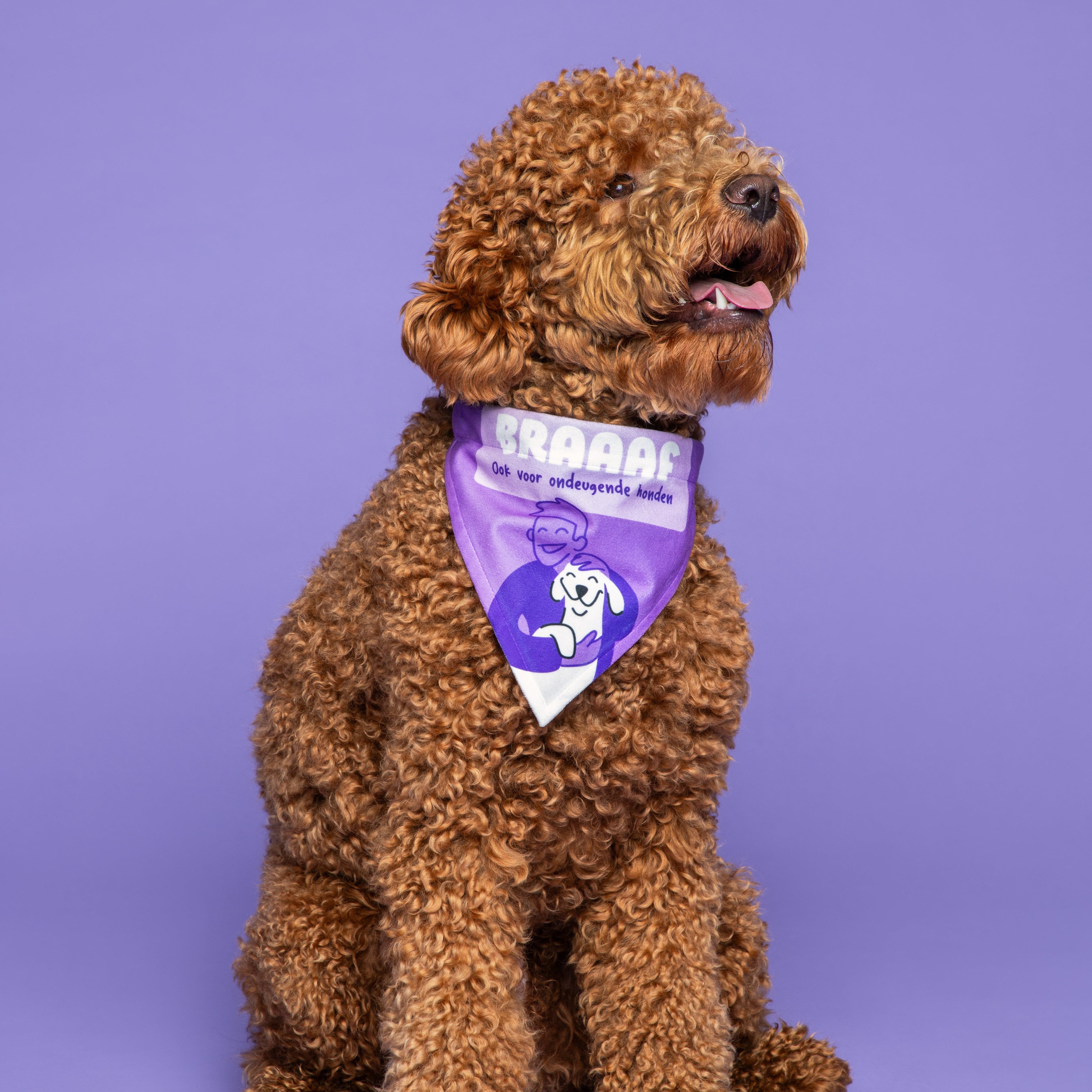 Hoeveel trainingssnoepjes per dag hond