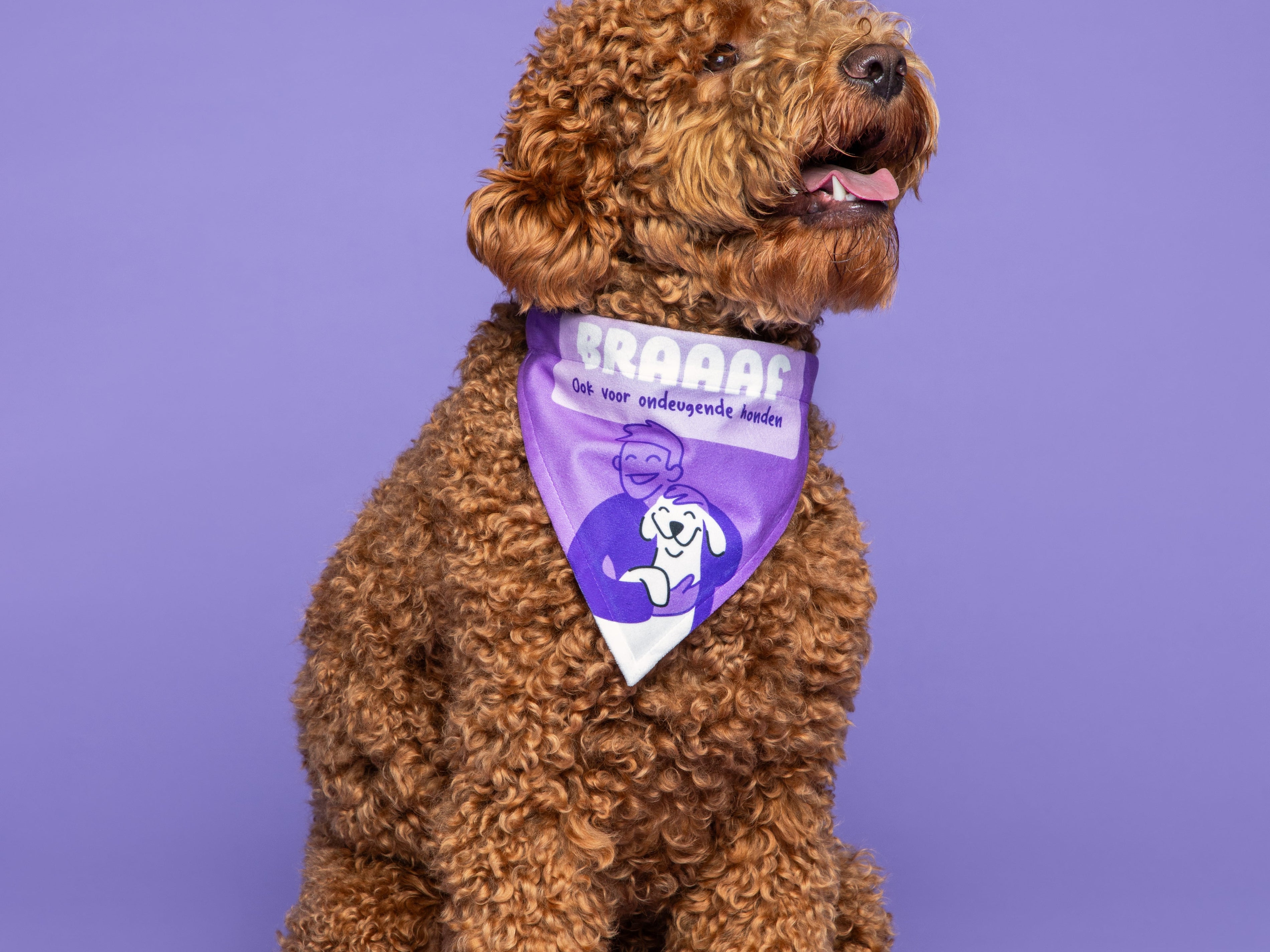 zittende hond met een bandana om zijn nek van het merk Braaaf 