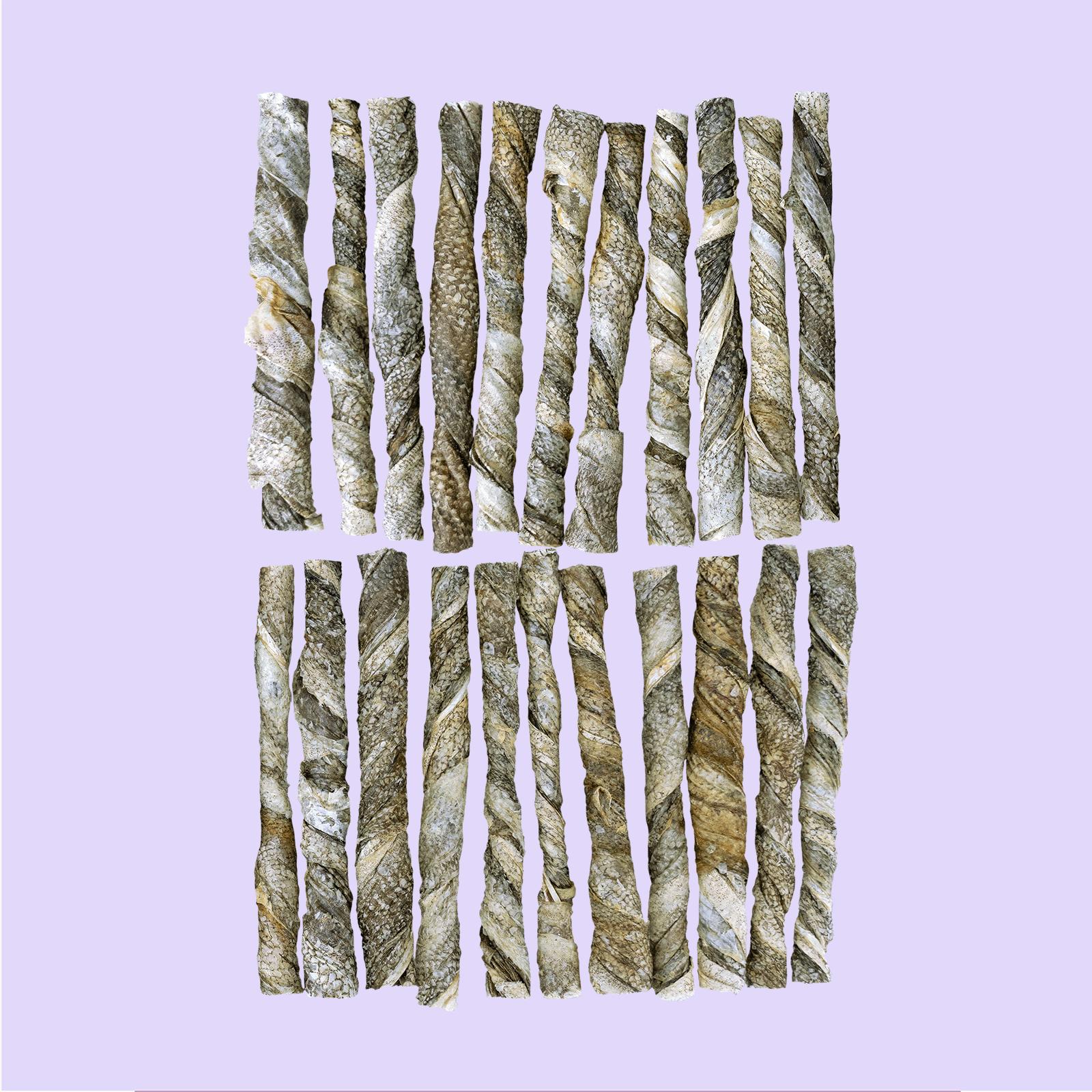 Roll Sticks Zalm - 175g | 12cm