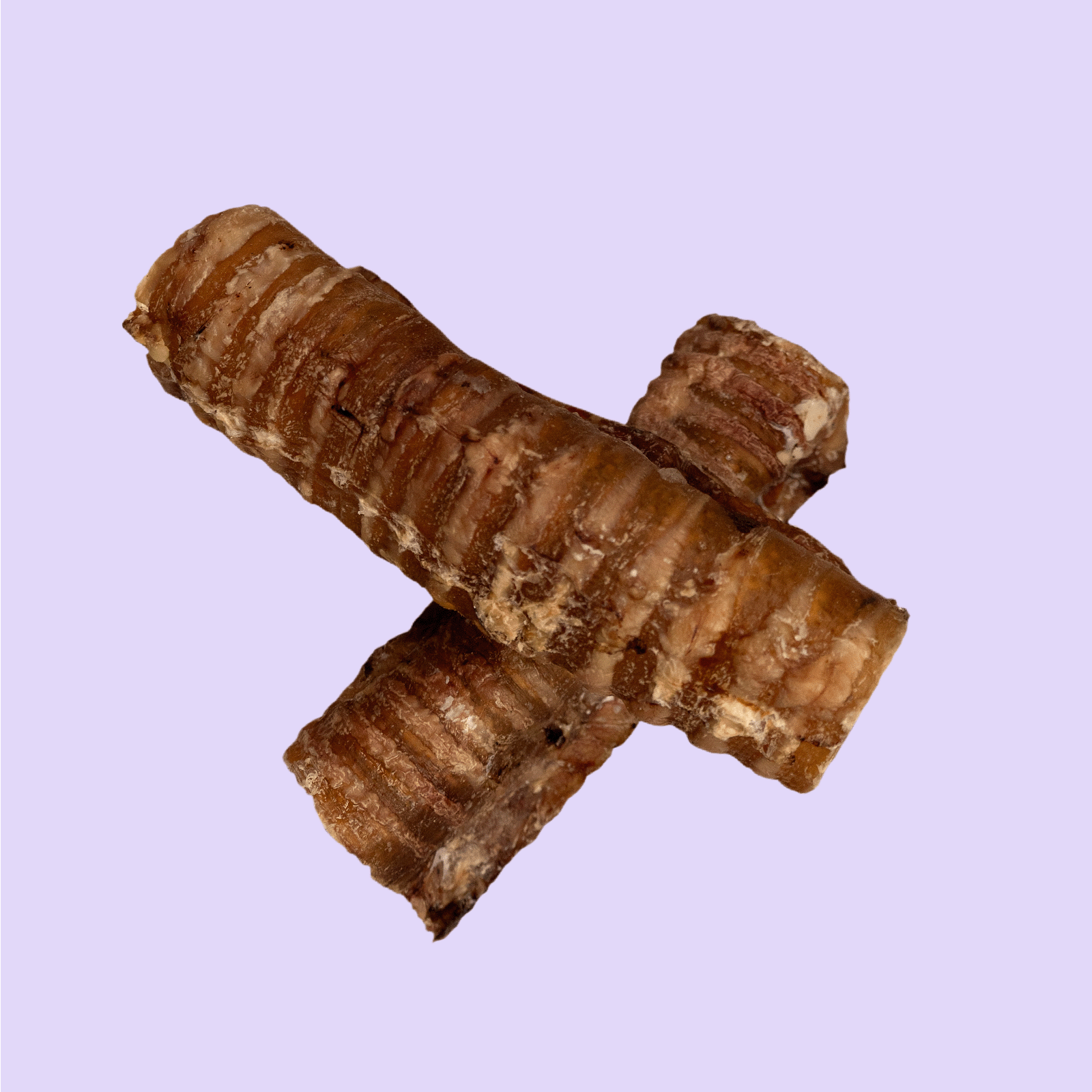 Runderluchtpijp