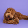 Krullende bruine labradoodle kauwt op een Braaaf Seafood Snacks Zalm Stick hondensnack, liggend op paarse achtergrond