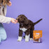 puppy krijgt een rundvleesblokje van vrouw uit hand 