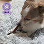 Hond Max kauwt op een Braaaf Roll Stick Kip hondenkauwsnack
