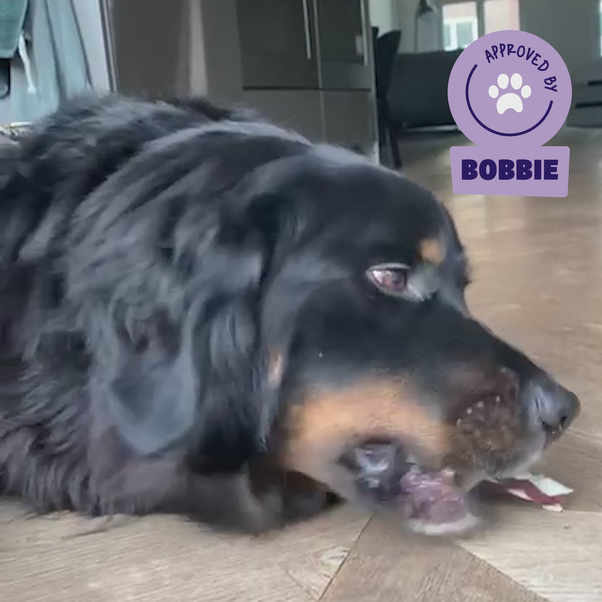 Kauwvlecht Dubbel - stevige kauwsnack voor honden van runderhuid